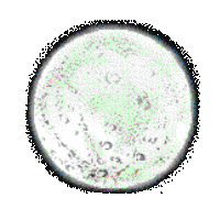 full moon graphic