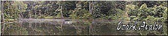 Ozark Avalon Banner